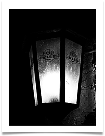 09 Light On The Spread Eagle - Carol Sparkes